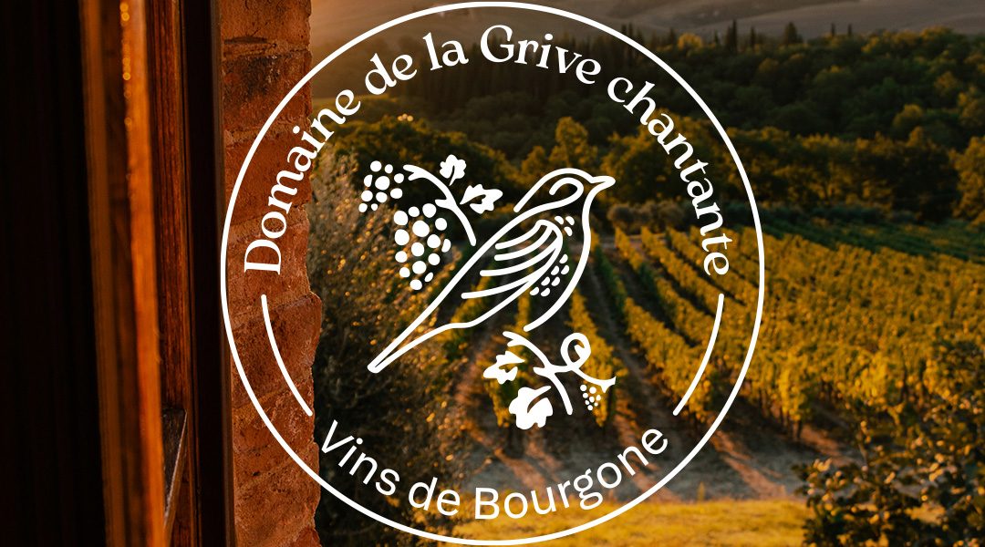 Logo-domaine-vignoble