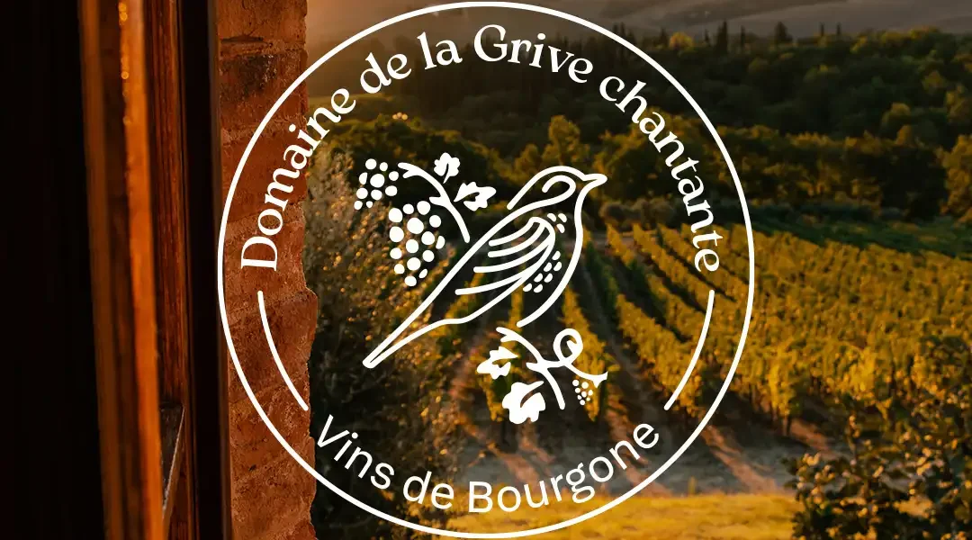 Logo-domaine-vignoble